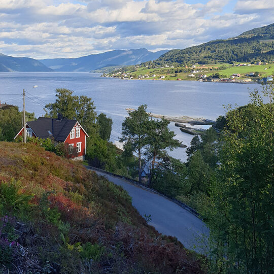 Geitene i Våtedalen