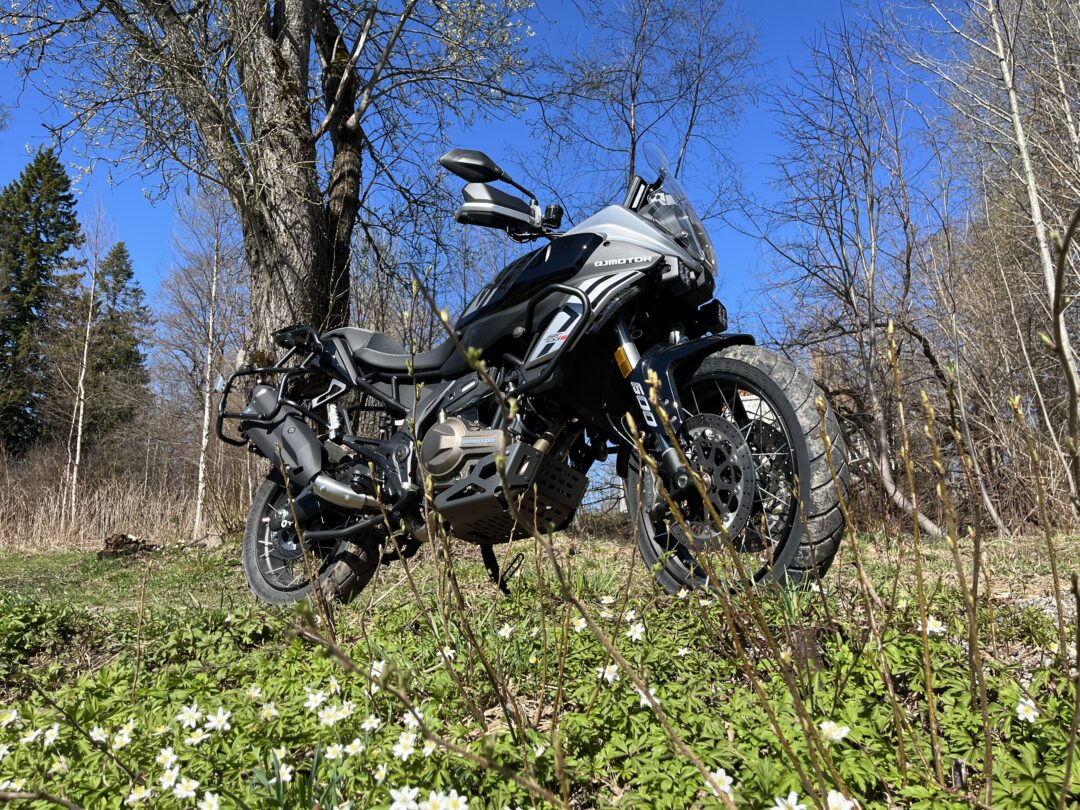 Adventure motorcycle parked in a grassy clearing with bare trees and a bright blue sky, foreground plants in bloom obscuring the lower view.
